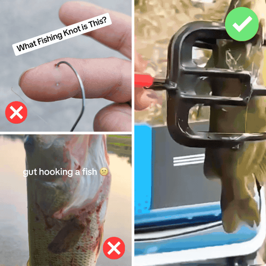 FloFish™ – Fischfreundliche Sicherheitskralle 